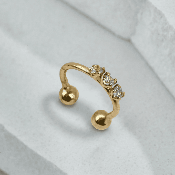 freepik__extract-the-piercing-from-the-reference-image-and-__8238cp