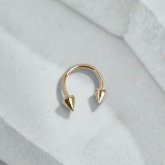 Piercing oreja | 400.000