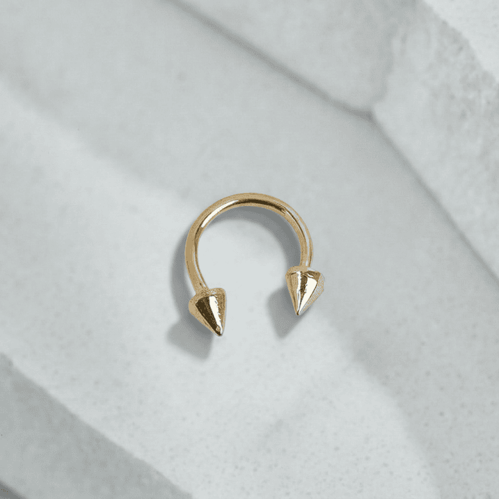 freepik__extract-the-piercing-from-the-reference-image-and-__31532cp