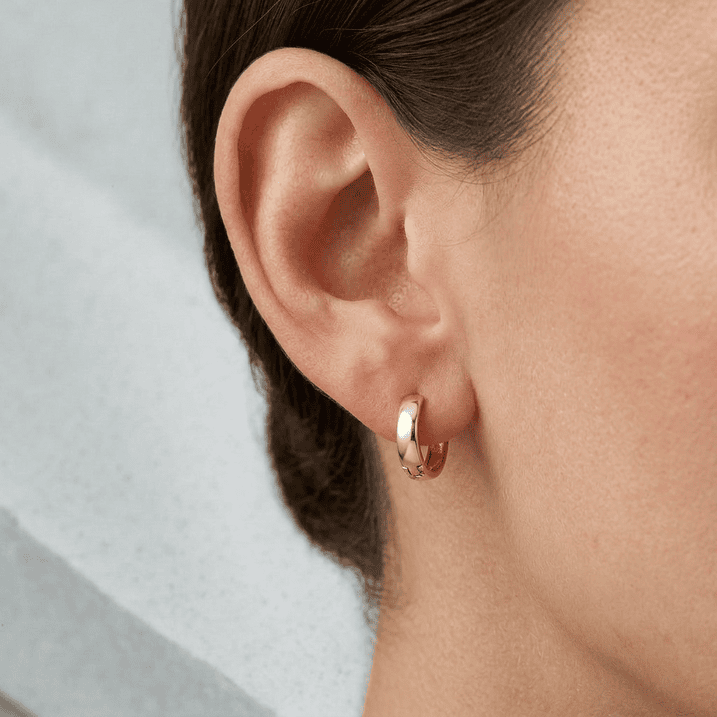 freepik__place-the-earrings-topos-from-the-reference-image-__31288cp